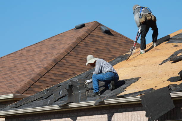 Best Gutter Installation and Repair  in Manson, IA